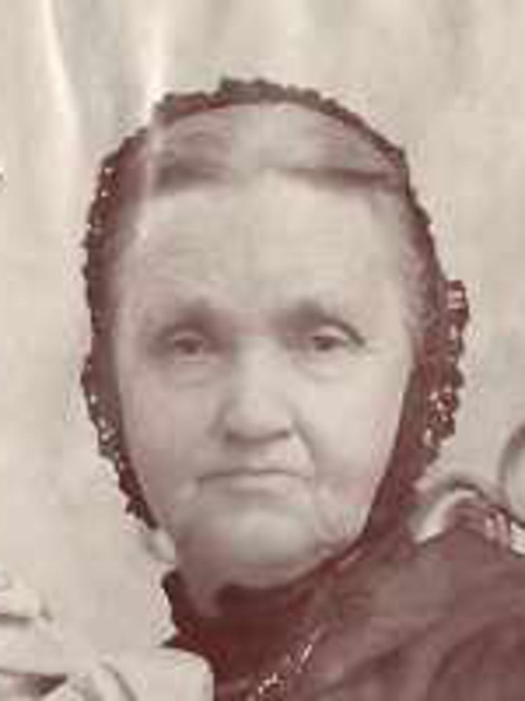 Ann Beeby Skinner Rawlings (1828 - 1909) Profile